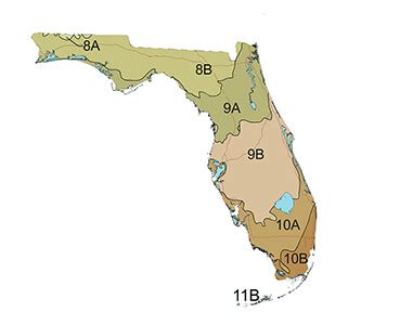 Garden Zones Map By Zip Code | Fasci Garden