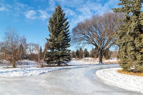 Things to Do in Edmonton in Winter- The Best Edmonton Winter Activities