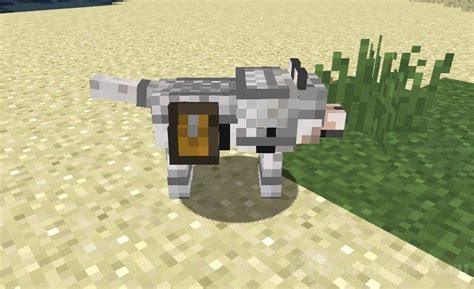 Download Wolf Armor and Storage mod for Minecraft 1.18.1/1.12.2/1.11.2 ...