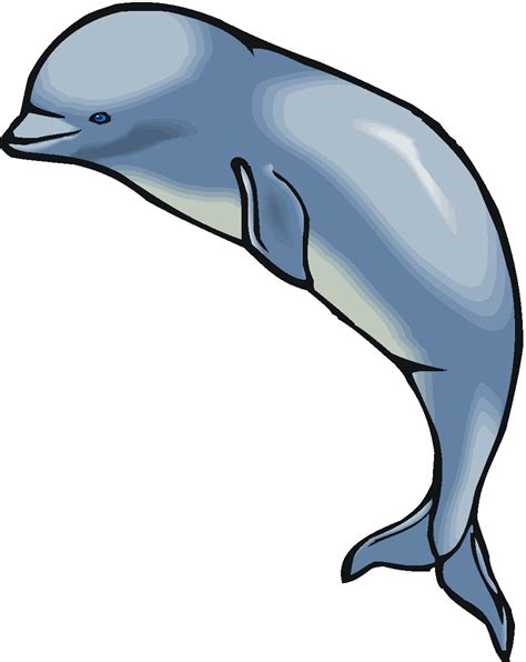 Porpoise Clipart - ClipArt Best