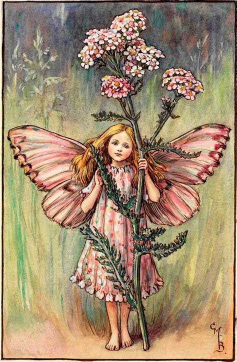 The Yarrow Fairy - Flower Fairies