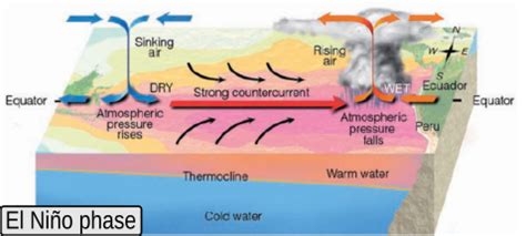 El Niño – La Niña oscillations – Complexity and Causal Structures