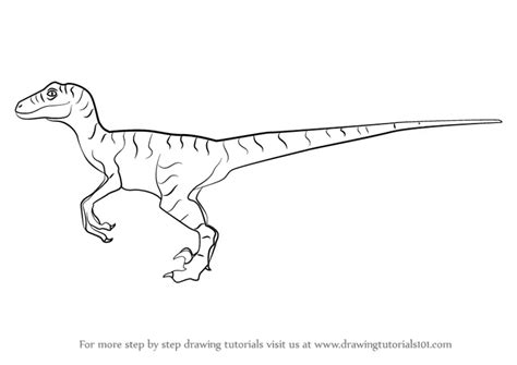 Learn How to Draw a Velociraptor Dinosaur (Dinosaurs) Step by Step ...