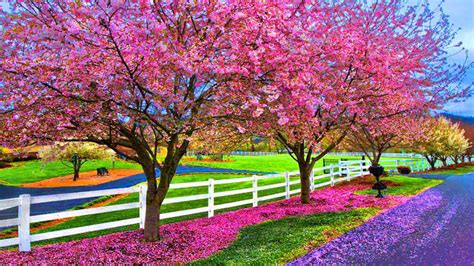 Beautiful Spring Wallpapers Desktop - WallpaperSafari