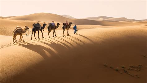 Amazing Desert Photography in Morocco – Seriously Photography