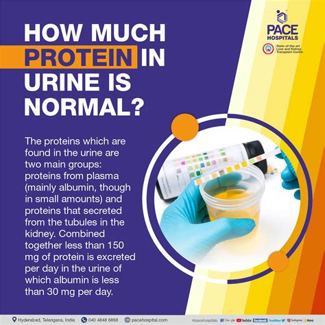 Protein loss in urine (Proteinuria) - Symptoms, Causes and Treatment