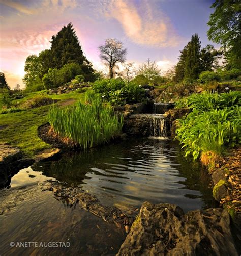 The Enchanted Waterfall by Hestefotograf on DeviantArt