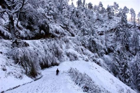 Shimla gets season's first snowfall