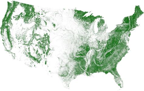 Tree cover map of the US America Do Norte, America Map, Usa Country ...