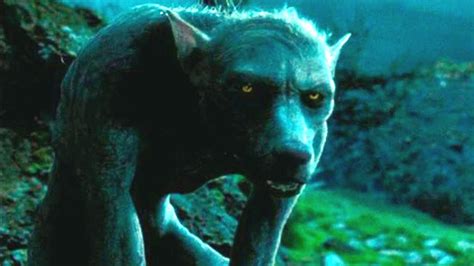 Harry Potter's David Thewlis Explains Why His Original Werewolf ...