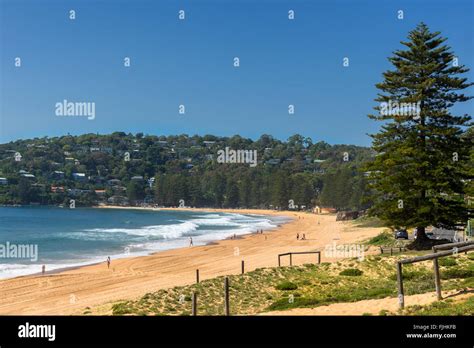 Palm beach sydney hi-res stock photography and images - Alamy