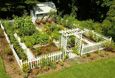 Pin by Gizmorella on Garden | Home vegetable garden design, Vege garden ...