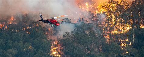 Lima Kebakaran Hutan Terbesar di Australia - Historia