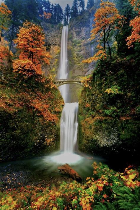 Waterfall at autumn | Beautiful nature, Beautiful waterfalls, Scenery