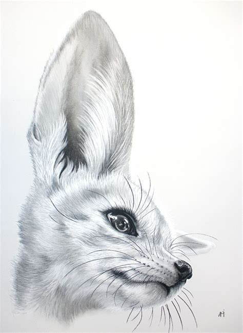 by Audrey Migeotte | Dieren tekenen, Vossen tekening ...