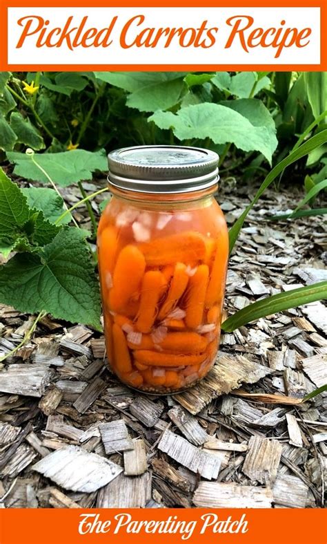 Pickled Carrots Recipe