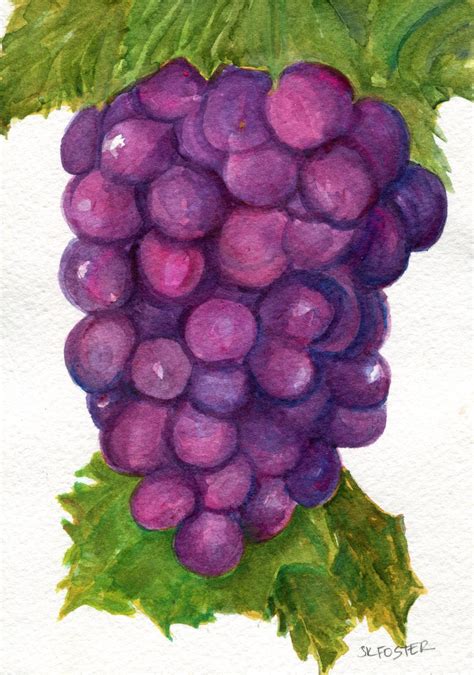 OOAK Grapes Watercolor Painting original watercolor art 5 x