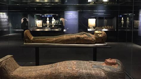 Egyptian Mummies from the British Museum: Exploring Ancient Lives | IMA ...