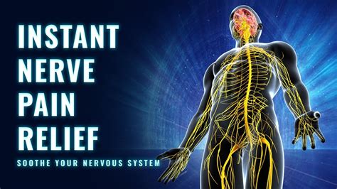 Heal and Repair Nerve Damage | Reduce Chronic Nerve Pain & Inflammation ...