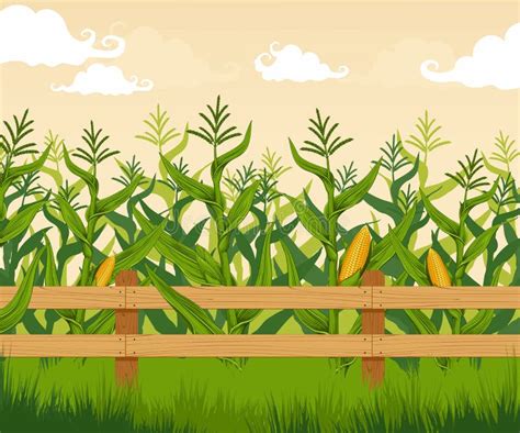 Corn Fields Clipart