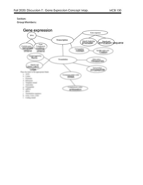 Concept Map Of Gene Expression - Alvera Marcille