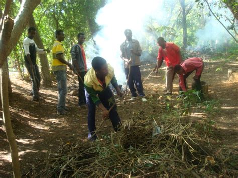 samuel tadiwos: Bahir dar university student makes campaign to cleanup ...