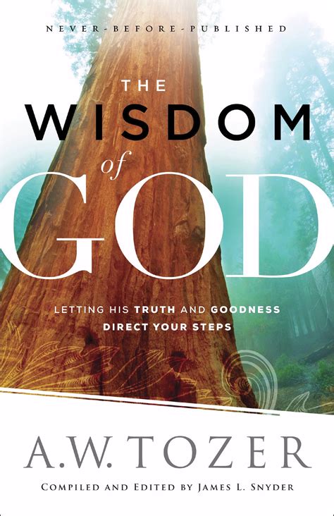 The Wisdom of God (9780764218088) | Free Delivery @ Eden.co.uk