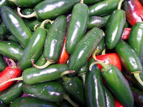 Freeze Jalapeño Peppers to Enjoy Them Year-Round | Gewürze, Dessert ...