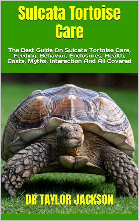 Sulcata Tortoise Care : The Best Guide On Sulcata Tortoise Care ...