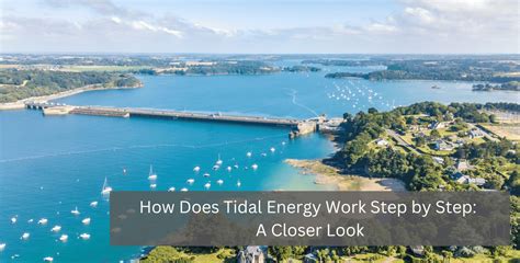 How Does Tidal Energy Work Step by Step: A Closer Look