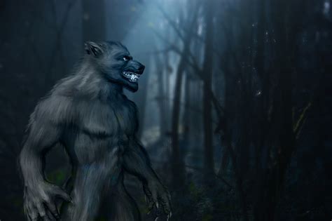 Download Werewolf, Halloween, Forest. Royalty-Free Stock Illustration ...