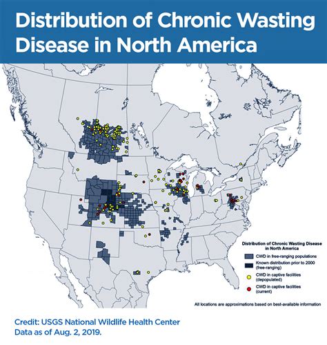 Allowing Infected Deer Into Food System Could Pose Risk to Public ...