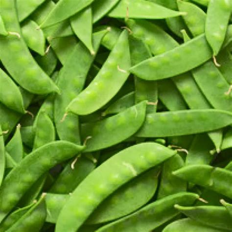 Snow Peas - Vegetable Facts | Taylor Farms