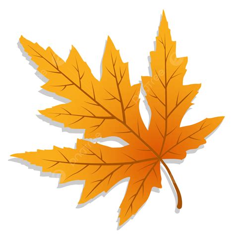 Aesthetic Autumn Leaves Vector, Autumn, Autumn Leaves, Leaf PNG and ...