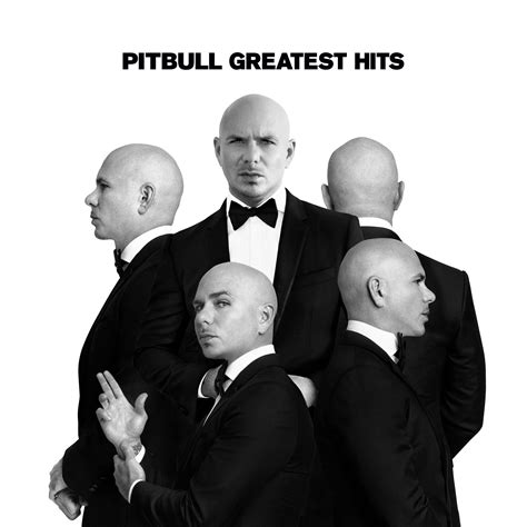 Watch Pitbull's Music Video "Jungle" With Stereotypes Feat. E-40 ...