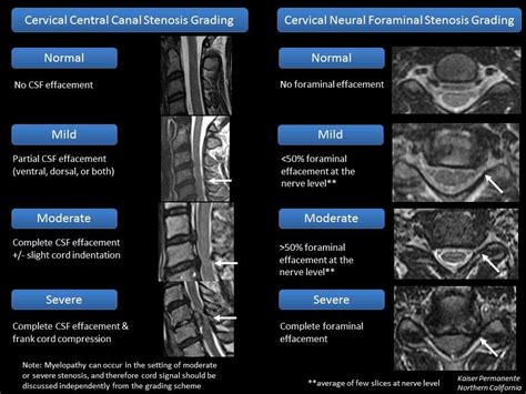 Pin on Radiology schools