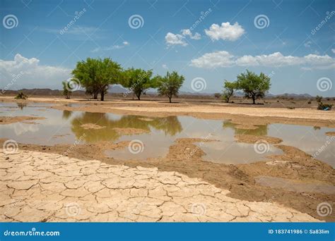 Oasis from Rain Water in Desert Stock Photo - Image of sharqia, sinaw ...