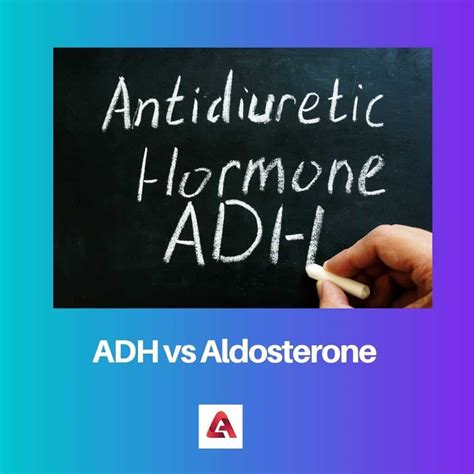 ADH vs Aldosterone: Difference and Comparison