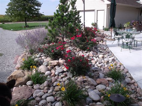 Rock Garden Ideas For Your Lovely House - MidCityEast