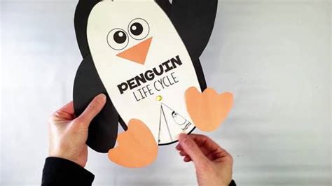 Penguin Life Cycle Craft by Stephanie Trapp | TPT