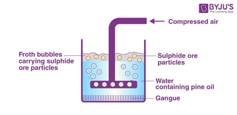 Flotation Process In Mining