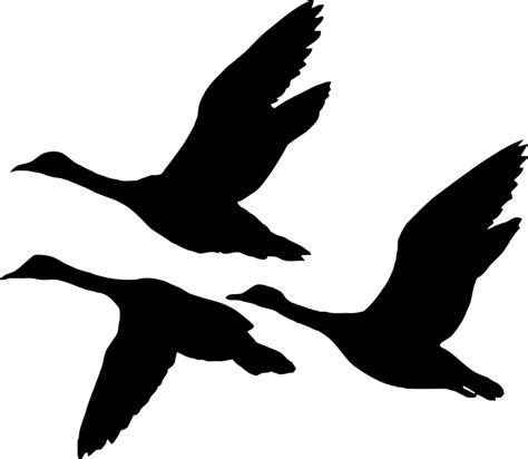 Flying Duck Silhouettes | Free download on ClipArtMag