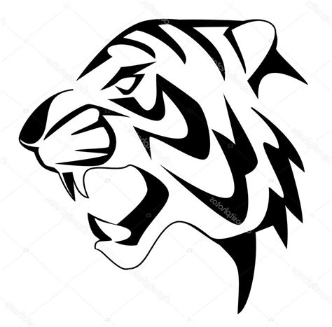 Tiger Drawing Step By Step | Free download on ClipArtMag