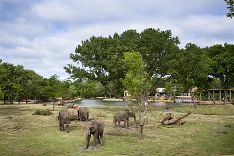 Sedgwick County Zoo | Visit Wichita