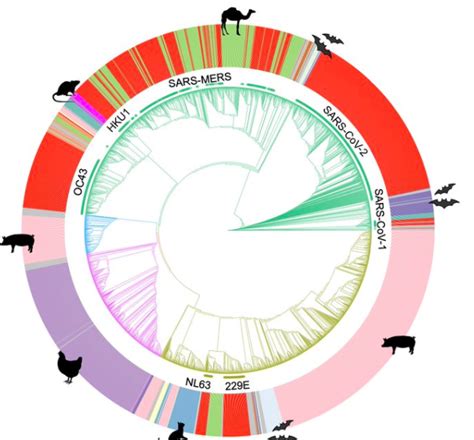 COVID19 genome > The Deep State Blog