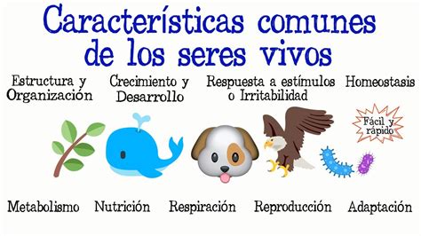 🐝Características comunes de los seres vivos🐠 [Fácil y Rápido ...