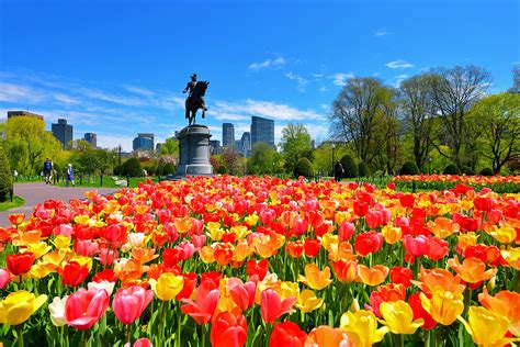 Boston Public Garden - Visit the First Public Botanical Garden in ...