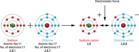 Formation of ionic bonding in NaCl and MgCl2 — lesson. Science State ...