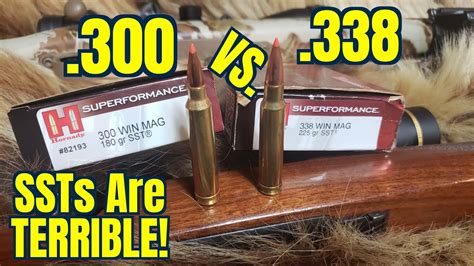 .300 win mag vs. .338 win mag Hornady Superformance SSTs - YouTube