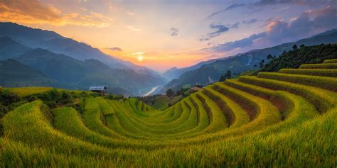 Rice fields in Vietnam - a masterpiece containing the beauty of labor